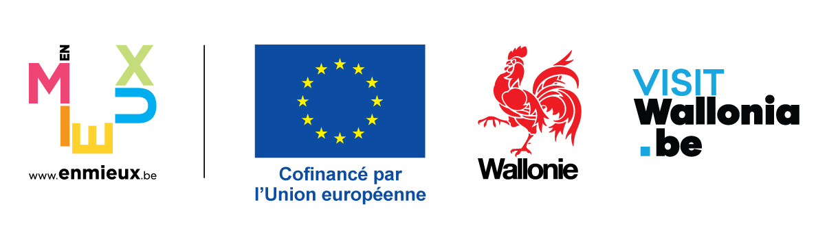 logo visit wallonia